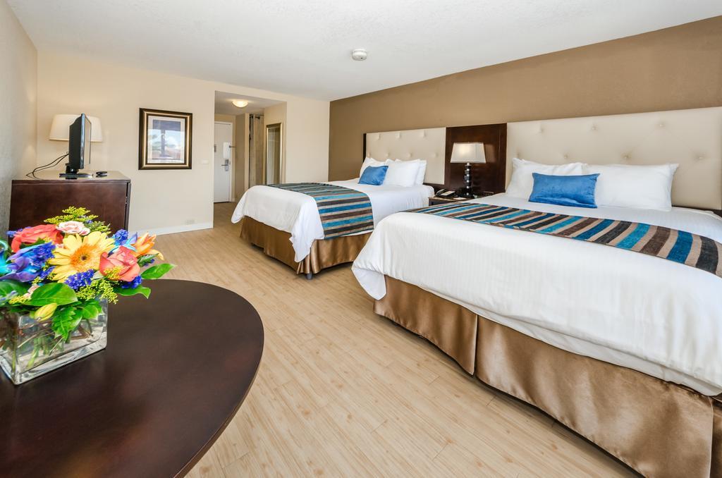 Dreamview Beachfront Hotel & Resort クリアウォーター・ビーチ エクステリア 写真